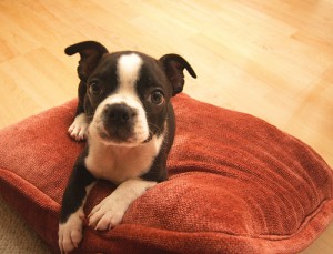 300019531_d92c1c28de