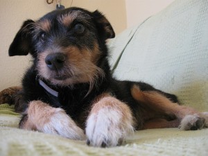 3942418944_584f97fb3d