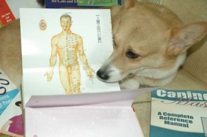 1380944497-2018528103