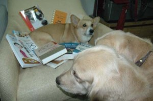 1380945248-2610747865