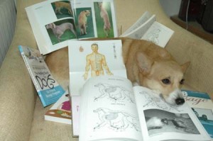 1380945248-4122951145