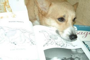 1380945249-2019814246