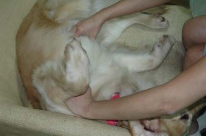 1380945249-2636678733