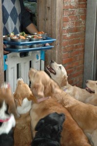 1380944826-1640038959