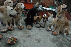 1380945020-180674169