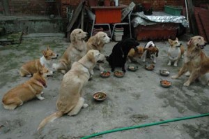 1380945133-2415872422