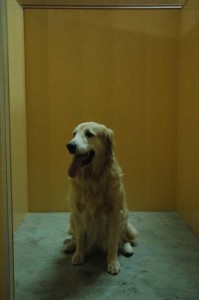 1380944992-3026536116