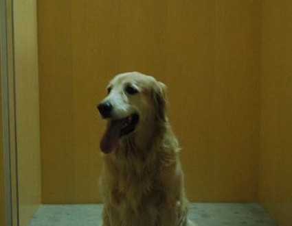 1380944992-3026536116