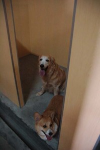 1380944993-134900805