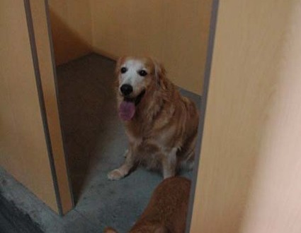 1380944993-134900805