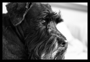 466629041_6093767970