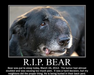 6866220410_56895ea701