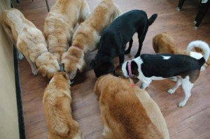 1380944757-4244652424