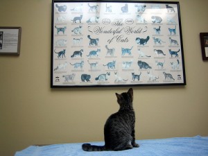 741271248_fffef36ba2