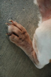 1380944701-2180494045