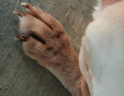 1380944701-2180494045