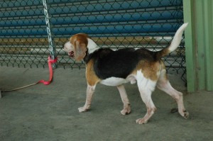 1380944701-2943805645