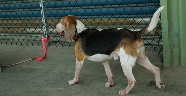 1380944701-2943805645