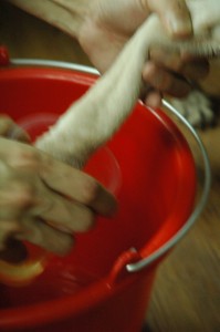 1380944702-282150853