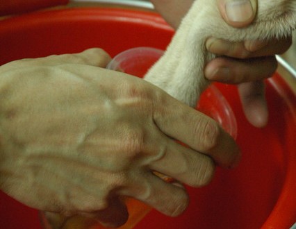 1380944703-2815072123