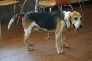 1380944703-3705932494