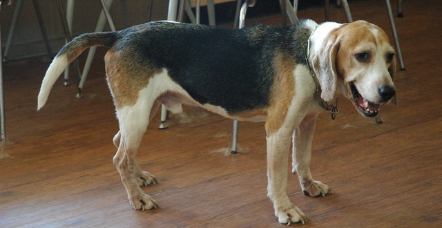 1380944703-3705932494