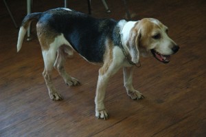 1380944703-973052288