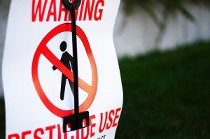 515413906_e628a425bc