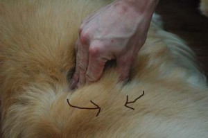 1380943901-1309619172