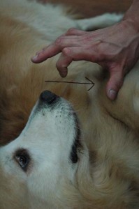 1380944252-1174360161