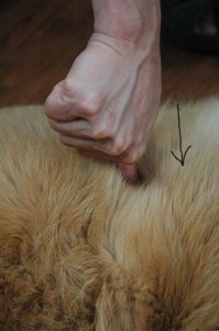 1380944461-3066288622