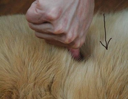 1380944461-3066288622