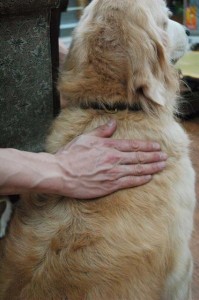 1380944494-2472238277