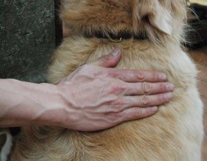 1380944494-2472238277