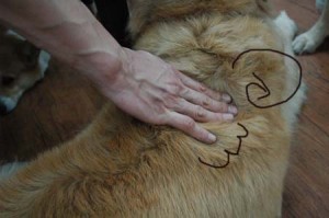 1380944495-3262112703