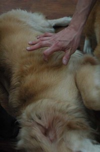 1380944495-3479491251