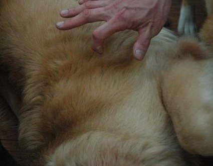 1380944495-3479491251