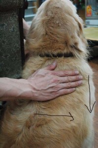 1380944495-440688078