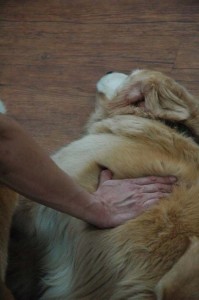 1380944496-3618600527