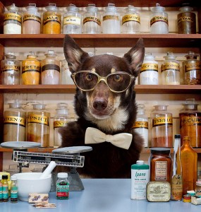 12221094944_666234f735