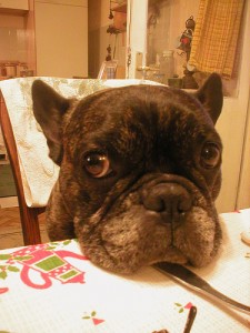 893112264_633783fcbd