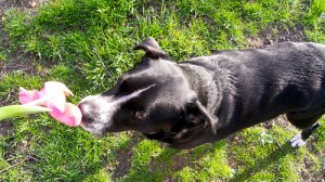 5710928577_ac8b12f4a0