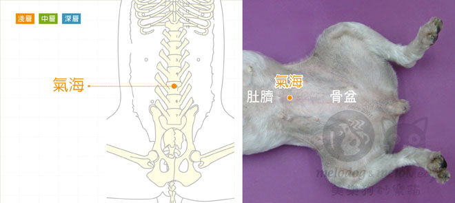 未命名-1