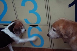 1380943896-2083406006