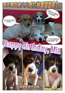 1380943897-3658443018