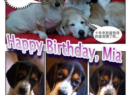 1380943897-3658443018