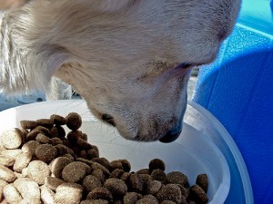 5755317200_9bed2abe90