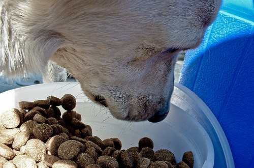 破解宠物食品宣传的陷阱-如何计算宠物食品的碳水化合物比例