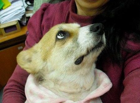 15974_3953778121213_1895313607_n