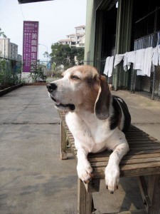 548641_3984369845987_889975491_n